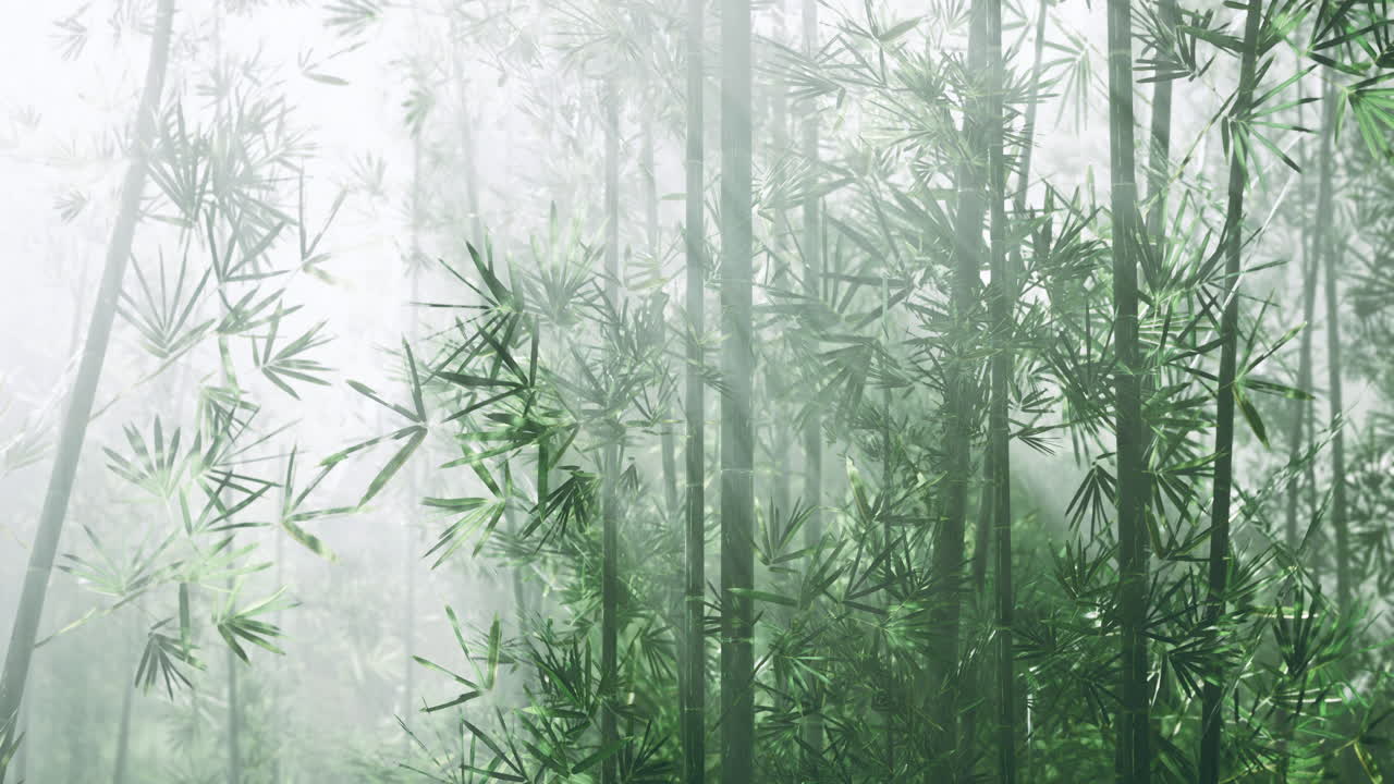 un exuberante bosque de bambú rodeado de niebla en un entorno natural sereno