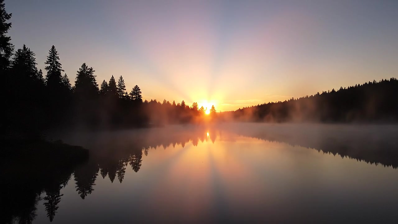 Serene sunrise over a foggy lake with forest reflections