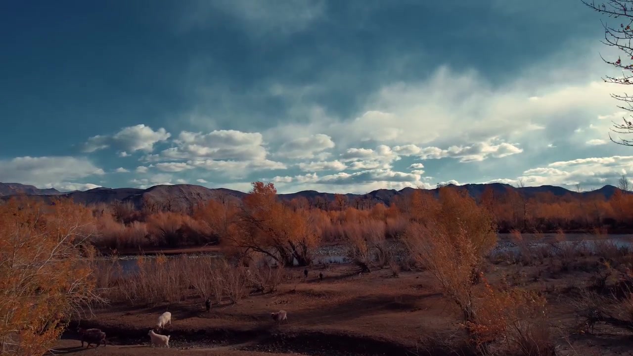 Aerial Drone View of Mountains and Rivers in Mongolia During Fall Season