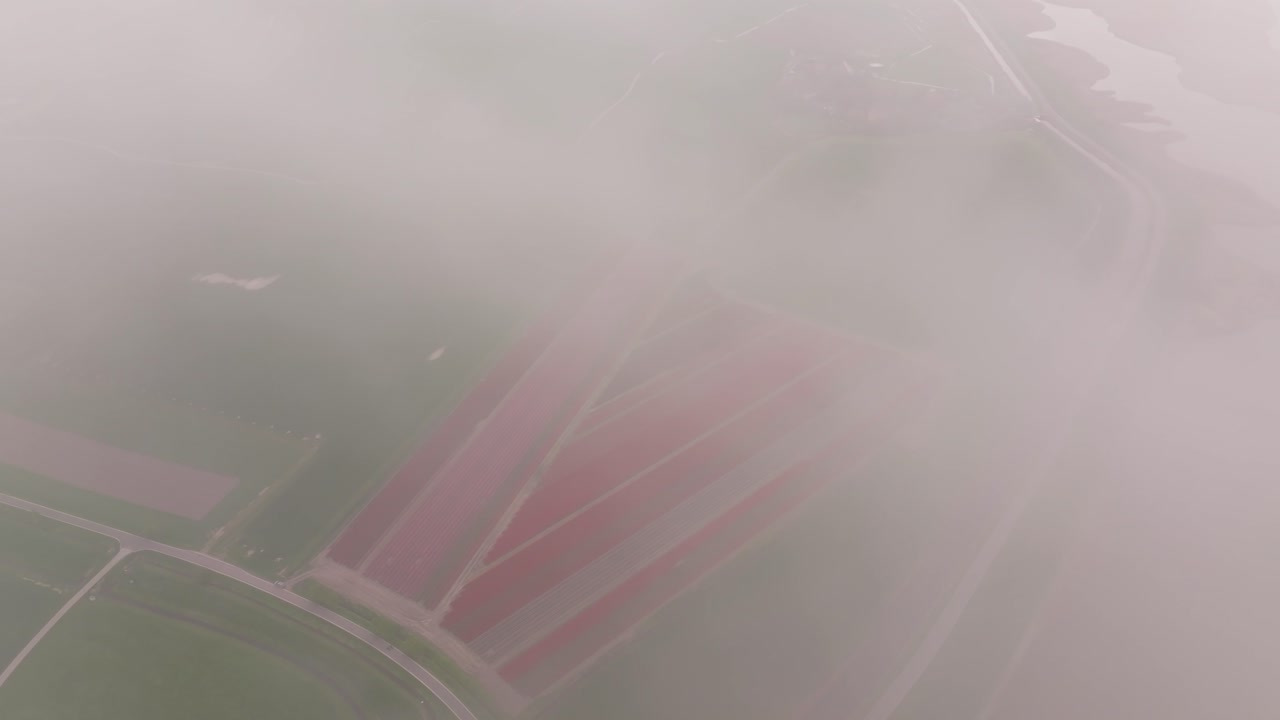 Aerial view of tulip rows under overcast skies in rural Netherlands