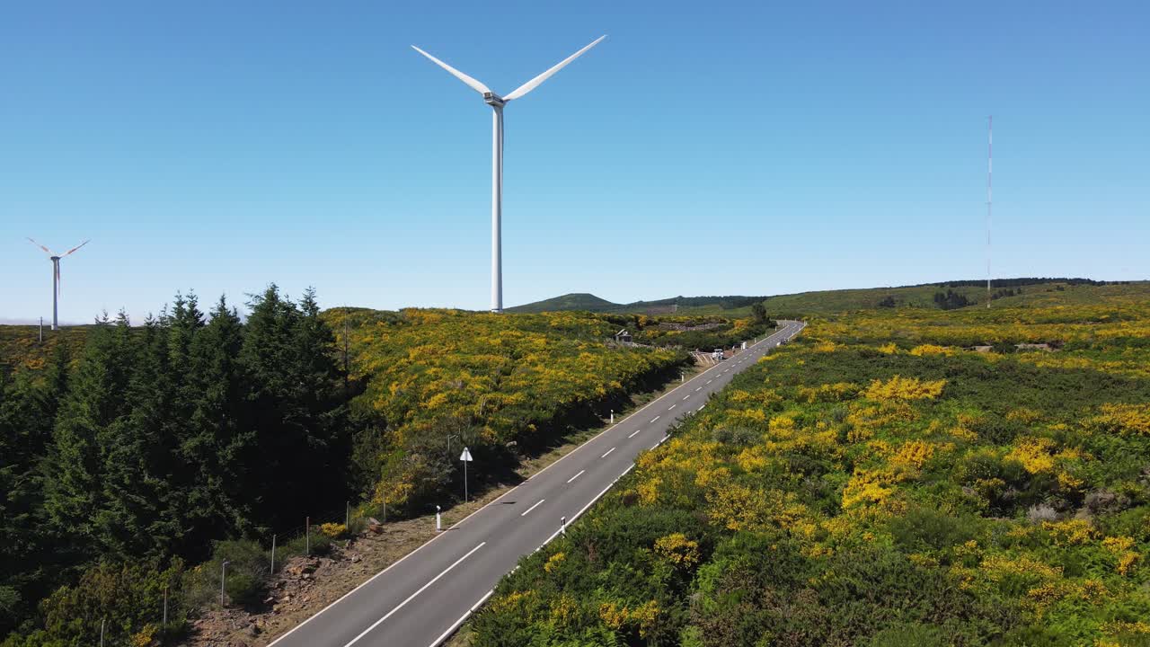 활기찬 노란색 꽃으로 가득 찬 푸른 식물로 둘러싸인 마데라 섬 의 풍차 들 의 공중 사진