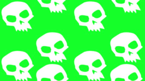 grandes cráneos blancos de halloween se mueven hacia arriba en bucle en el fondo de la pantalla verde