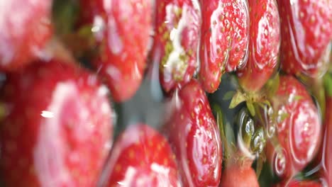 close up of red fresh organic horticulture strawberry in water vertical