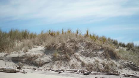 Discover-the-captivating-beauty-of-a-low-angle-shot-capturing-the-details-of-a-majestic-sand-dune