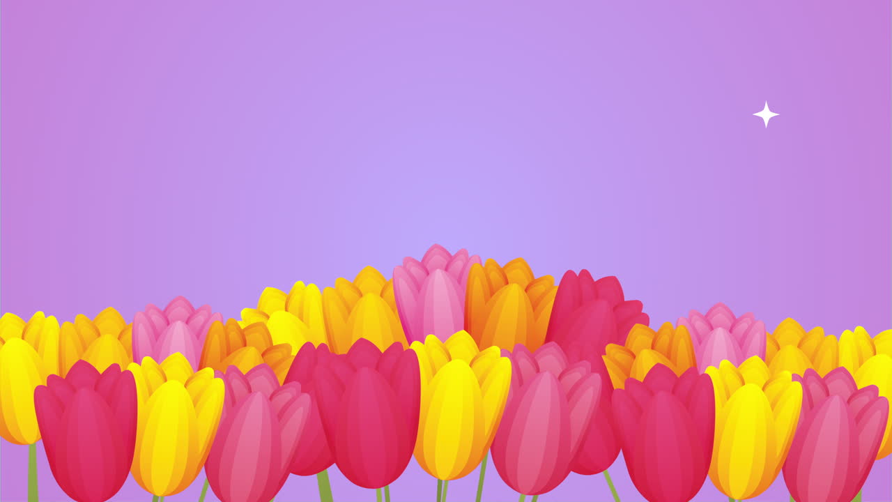 rosas hermosas flores animación de jardín