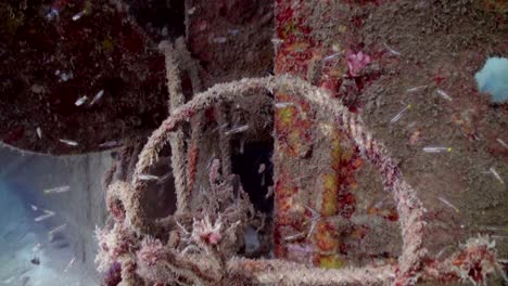 Wooden-boat-underwater-4