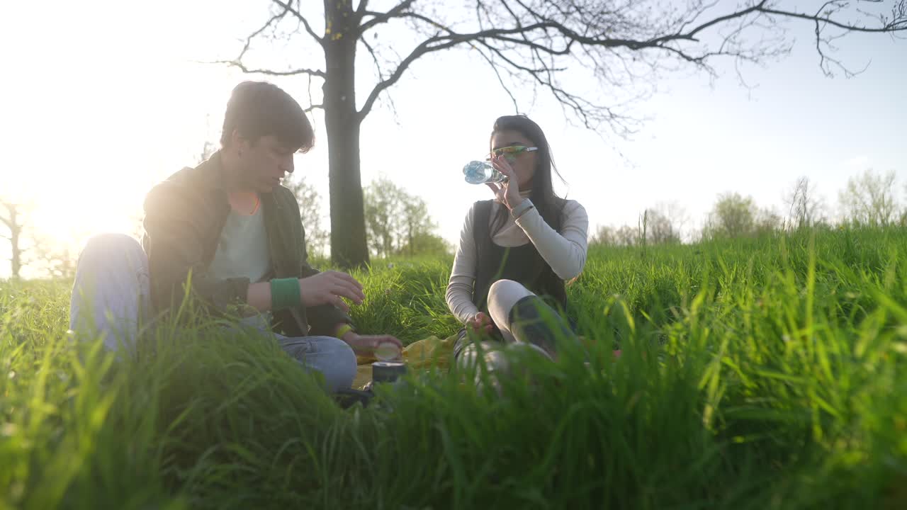 공원 에서 피크닉 을 즐기는 부부