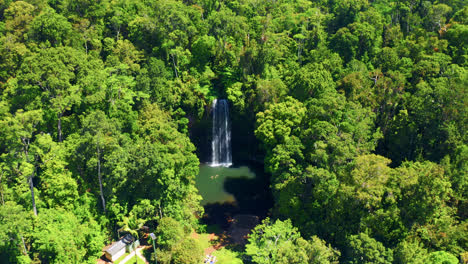 La-Gente-Nada-En-El-Hoyo-De-Natación-Con-Las-Cataratas-Millaa-Millaa-Rodeadas-De-Una-Exuberante-Selva-Tropical-En-Australia