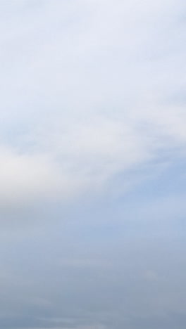 dense cloudscape spreading around the sky. grey clouds and rain formation from low angle view. timelapse. vertical video