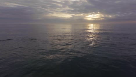 Afrika-Drohne-Luftbild-Filmisch-Delfine-Schwimmen-Sonnenaufgang-Sonnenuntergang-Am-Frühen-Morgen-Ozean-Brandungswellen-Jbay-Jefferys-Bay-Indischer-Ozean-Tiefes-Aqua-Blaues-Wasser-Bewölkt-Goldene-Sonne-Nach-Links-Bewegung