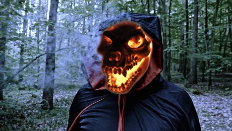 portrait of creepy grim reaper in black hooded robe with flaming animal skull, isolated in the forest