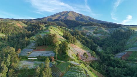 aerial view of a scenic mountain landscape with lush green terraced farmland and dense forest under a clear blue sky. mount sumbing, indonesia