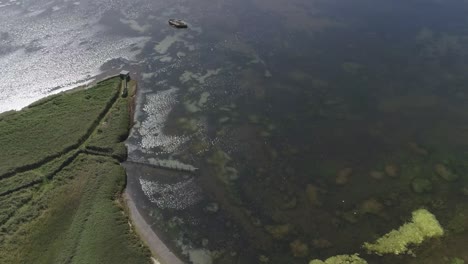 Verfolgungsantenne-über-Der-Flottenlagune-In-Der-Abbotsbury-Swannery