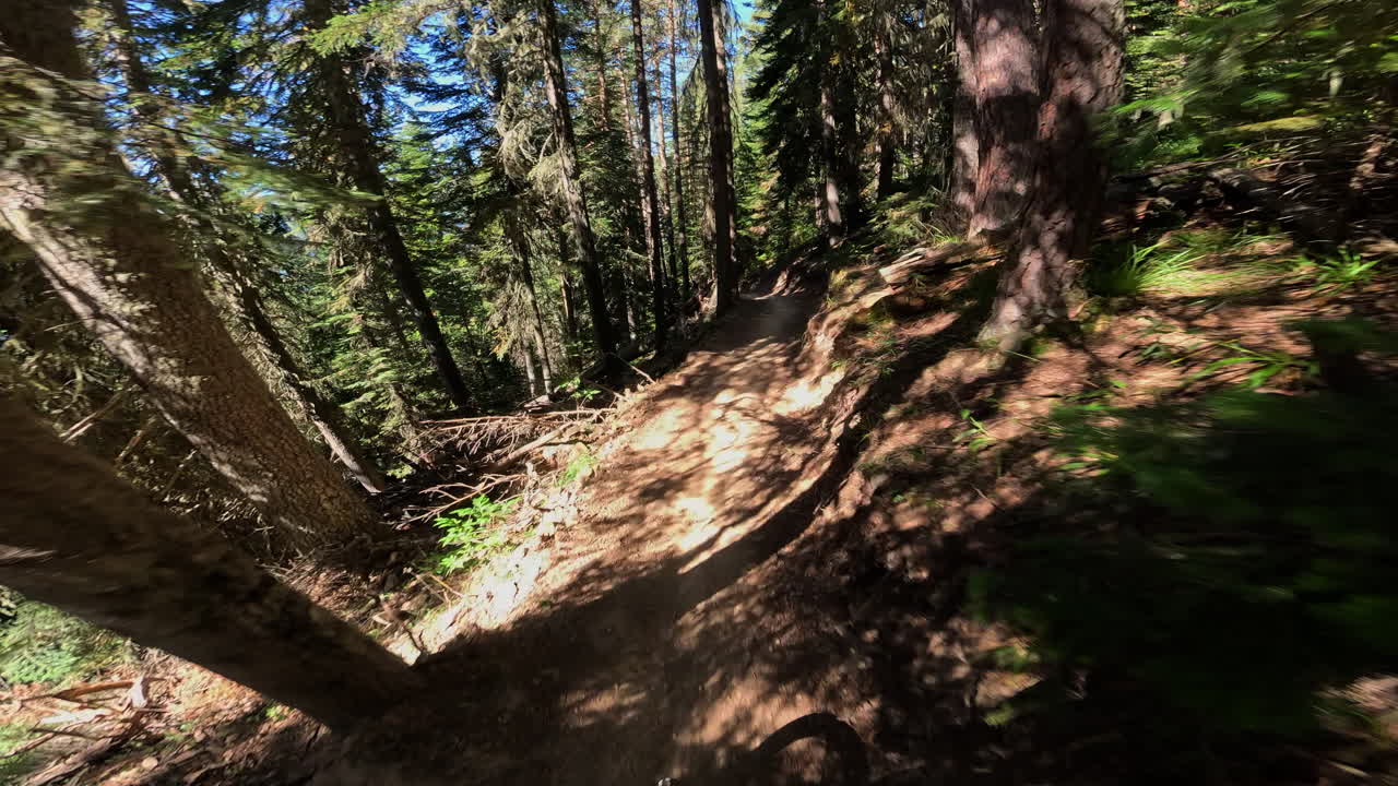 POV Mountain Biking Down a Sunny Forest Trail