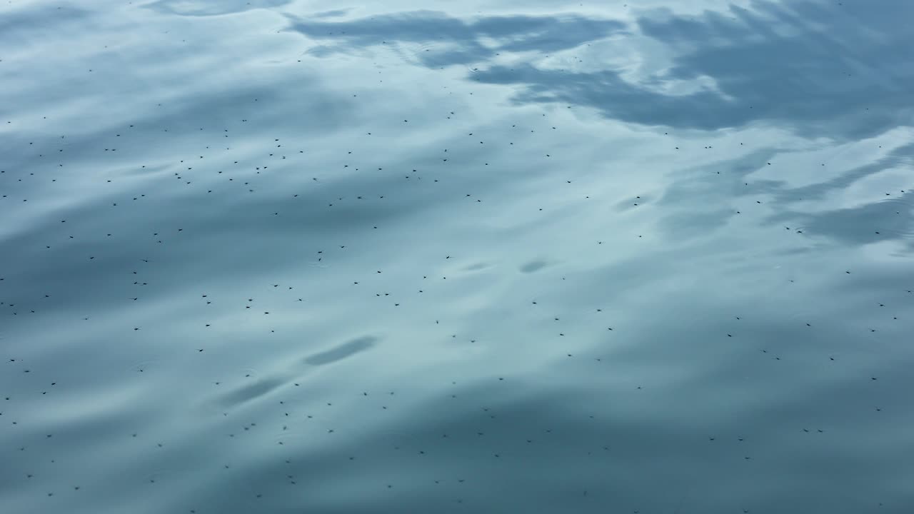 olas suaves en una superficie serena del océano
