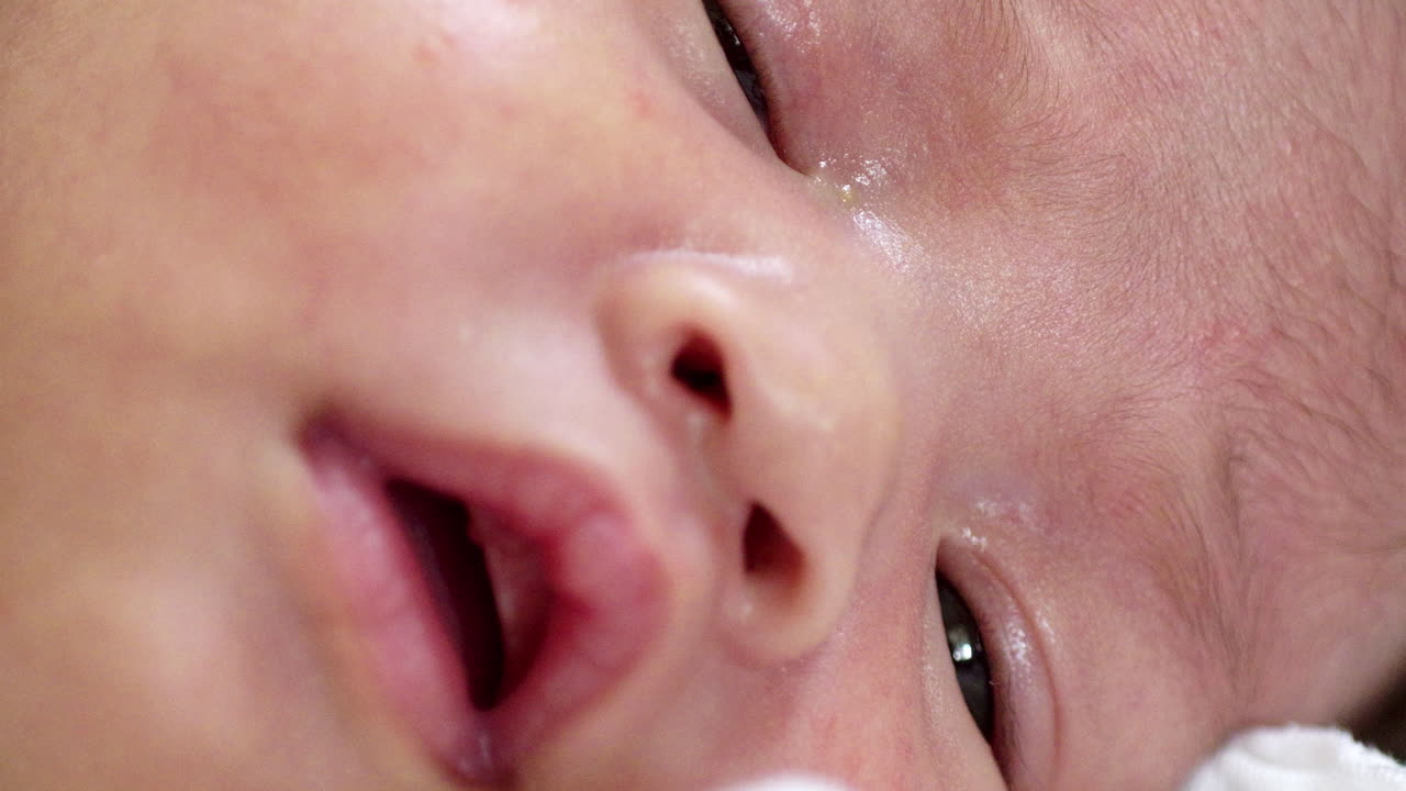 며칠 전에 태어난 아기가 눈을 뜨고 박이는 모습으로 부모님을 보았다.