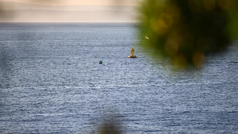 Amplia-Vista-De-La-Boya-De-Navegación-En-La-Bahía-De-Caparica