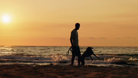 man and dog walking on the beach at sunset