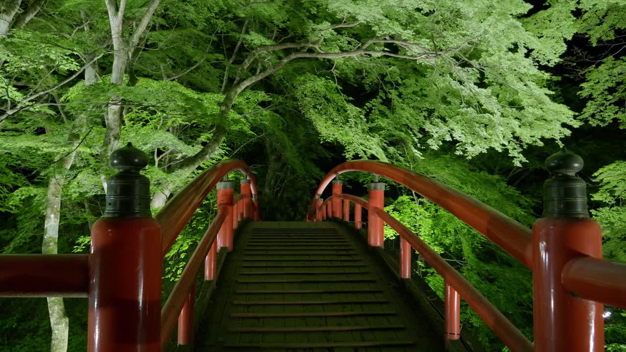 Incredible red wooden bridge in Japanese forest illuminated at night
