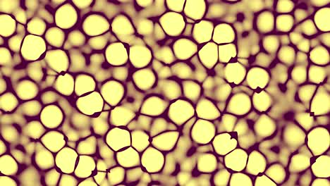 animation of yellow cells under the microscope