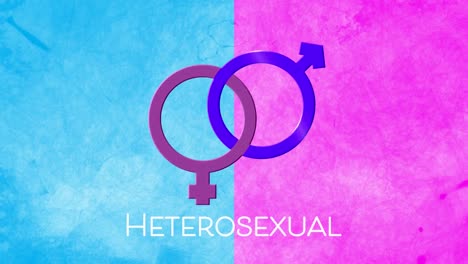animación de texto heterosexual y símbolos de género femenino y masculino en rosa y púrpura, en azul
