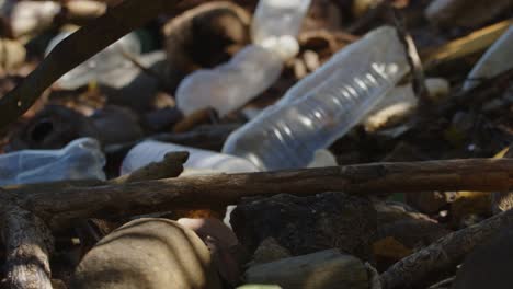 Weggeworfene-Plastikflaschen-Und-Treibholz,-Die-Ans-Ufer-Gespült-Wurden