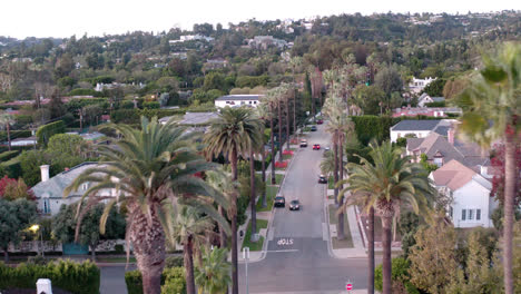 aerial drone of palm tree lines street in beverly hills neighborhood in los angeles at daylight