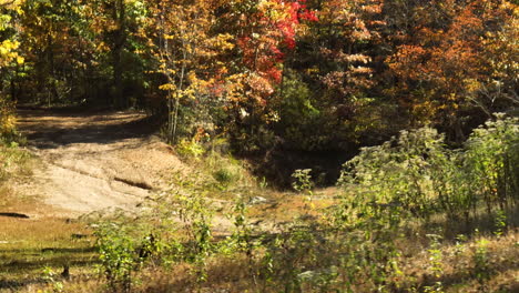 Eine-Landstraße,-Versteckt-In-Einem-Lebendigen-Wald,-Alles-In-Malerische-Herbstfarben-Gehüllt