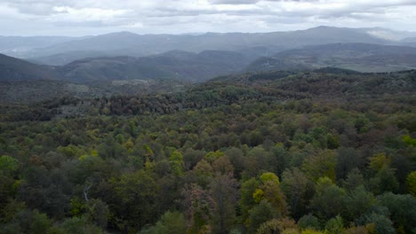 aerial of bjelasnica mountain in bosnia covered in beech trees