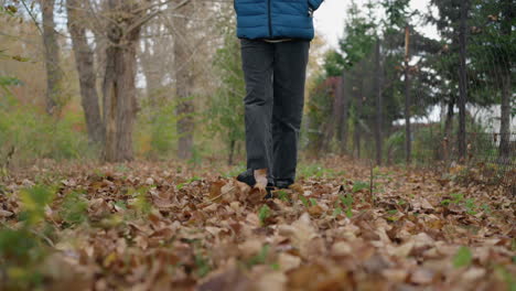 lower angle view of child with stick scattering dry autumn leaves on forest floor, surrounded by foliage, showcasing fall nature play and outdoor fun