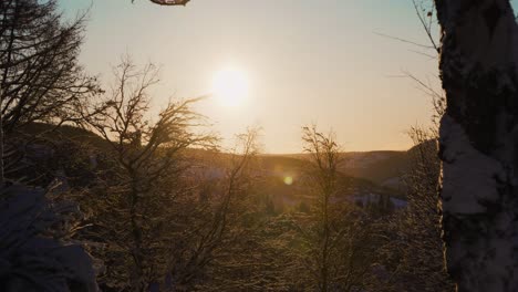 aerial wide shot of leafless trees covered with snow during golden sunset at sky