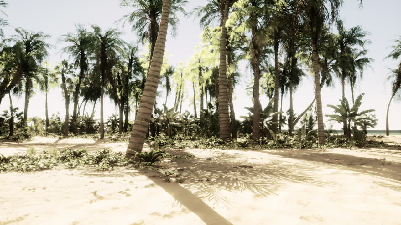 야자수와 열 대 해변