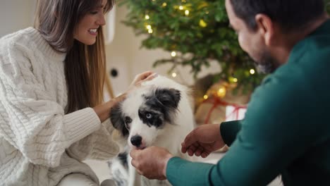 Una-Pareja-Multiétnica-Pasa-Un-Tiempo-Fantástico-Con-Un-Perro-En-Navidad.