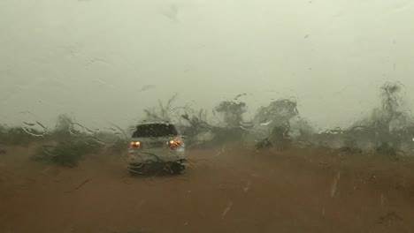 Pov:-Während-Eines-Regensturms-Wehten-Starke-Winde-über-Einen-Baum,-Langsame-Scheibenwischer