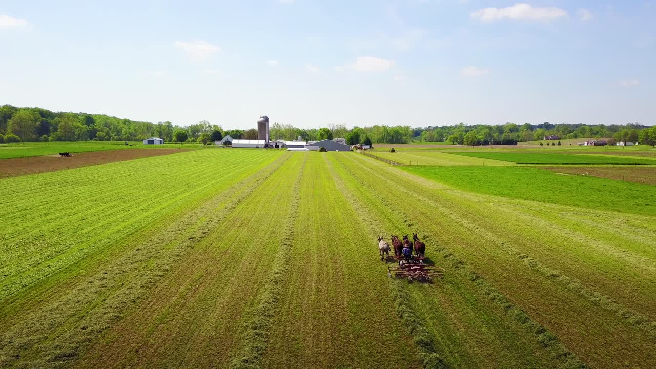 An amazing aerial of Amish farmers tending their fields with horse and plow