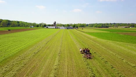 una asombrosa antena de granjeros amish cuidando sus campos con caballos y arados