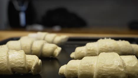 putting the frozen croissants on a plate, preparing the plate for the oven