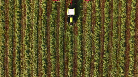 Ackerschlepper-Legt-Im-Grasschnitt-Gerade-Heuhaufen