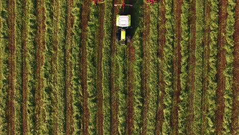 tractor agrícola yace en los recortes de hierba pajares rectos