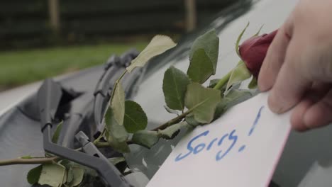 handwritten note and red rose left on windscreen to say sorry