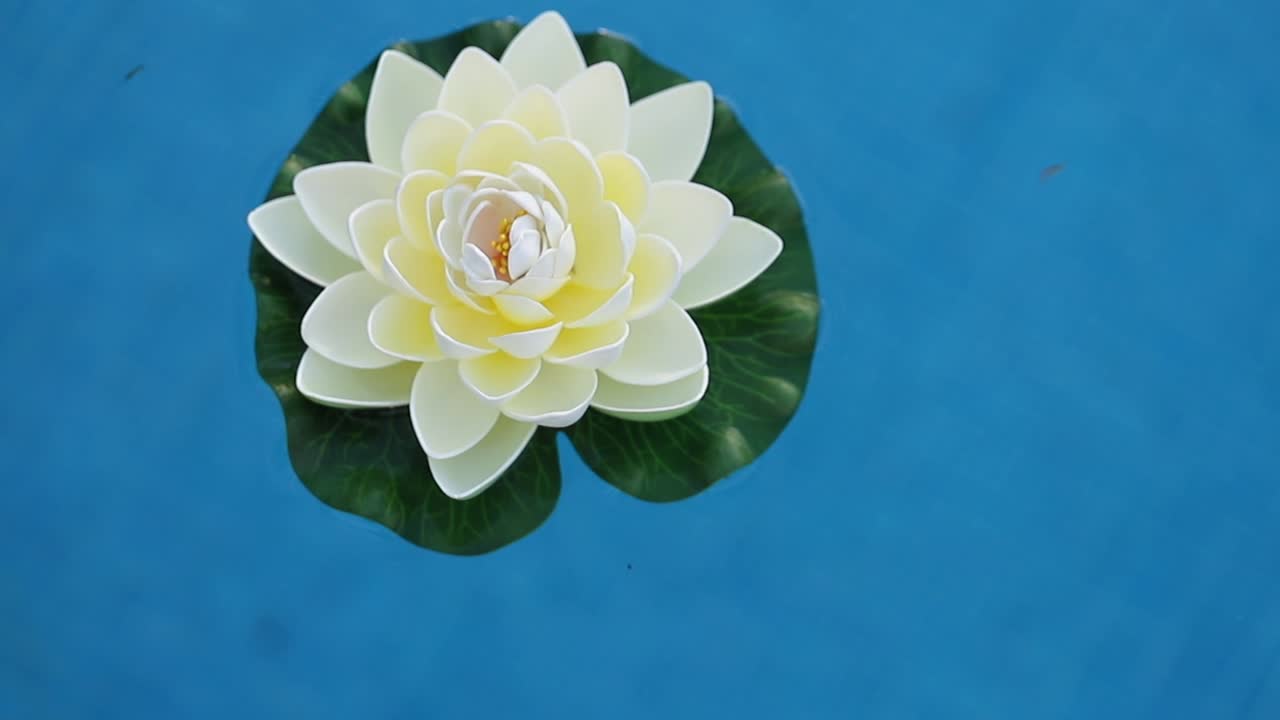 新鮮なビデオの背景