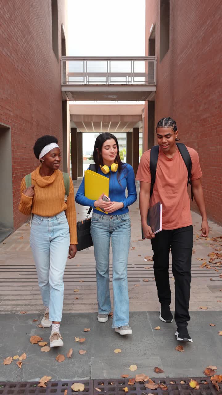 Diverse Group of Students Walking and Talking on University Campus