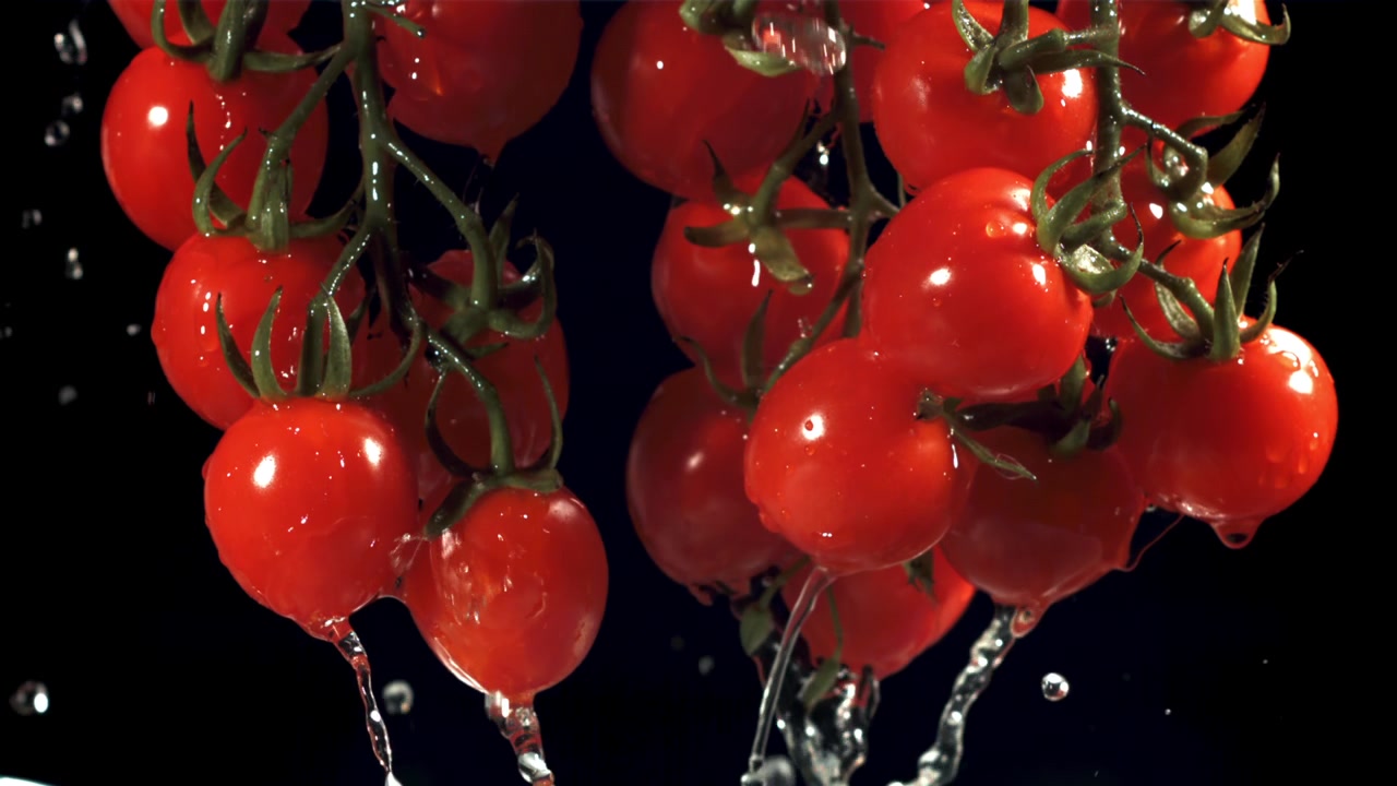 Slow Motion Water Washing Fresh Cherry Tomatoes on the Vine