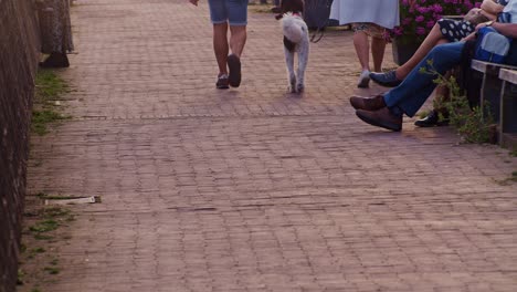 Passanten,-Die-Mit-Einem-Hund-Auf-Der-Straße-Spazieren-Gehen,-Und-Leute,-Die-Abends-In-Der-Nähe-Sitzen,-Mit-Filmischer-Landschaftsaufnahme-Aus-Niedriger-Bodenperspektive