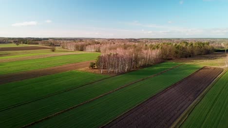 Vista-Aérea-De-La-Tierra-Agrícola-Verde-Natural-Con-Cálidas-Horas-Doradas-Luz-Drone-Acercándose-Desde-Arriba-Día-Soleado-Con-Cielo-Limpio-Sin-Contaminación