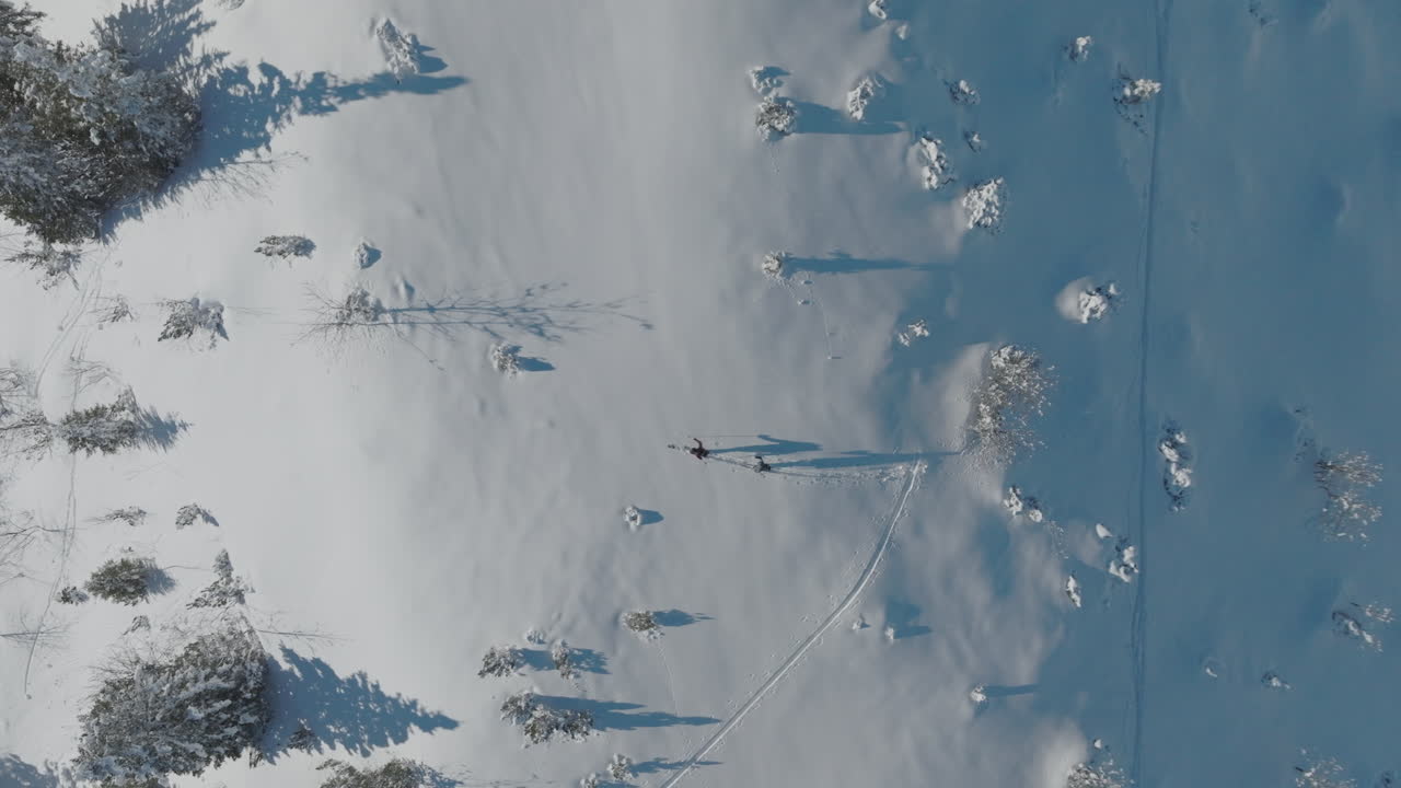 Skier in snowy landscape, surrounded by snowy trees in garmisch-partenkirchen , aerial view