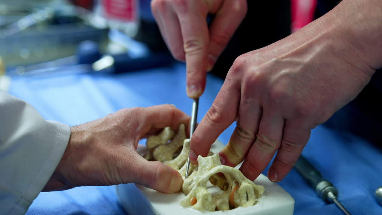 Male hands apply metal tool at spine dummy. Educator's hand is correcting the student. Close up. Neurosurgery concept.
