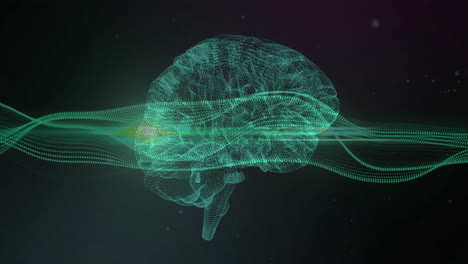 animación de la red de conexiones sobre el cerebro en fondo negro