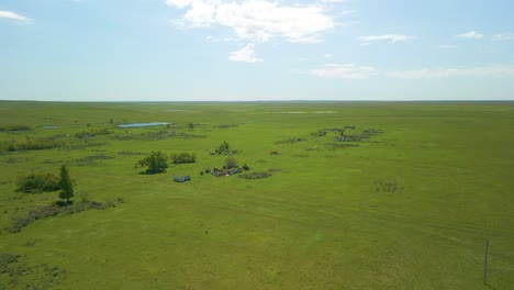 Una-Vista-De-Un-Vasto-Campo-Verde-Con-Un-Estanque-Cercano-En-El-Campo-De-Kazajstán,-Asia-Central---Disparo-Aéreo-De-Drones