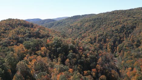 aerial drone flying over beautiful mountainous valley in the autumn colorful trees